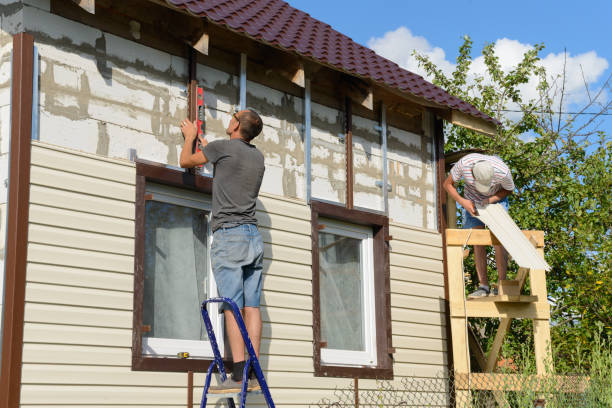 Best Siding Painting and Refinishing  in Lincoln Park, MI