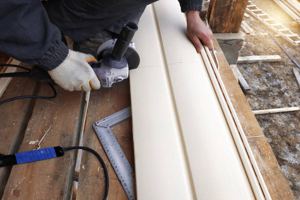 Best Custom Siding Design  in Lincoln Park, MI